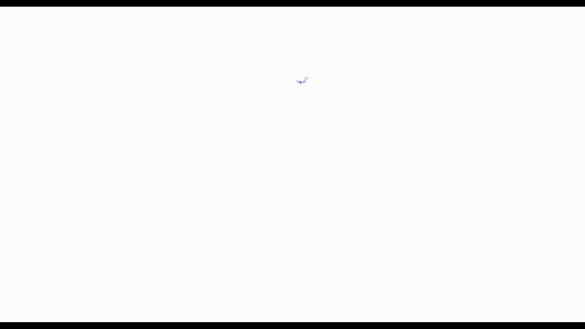 f:id:ChaldeaGecko:20210630121249p:plain