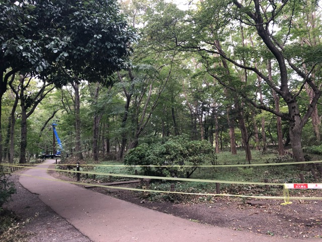 イメージ 6