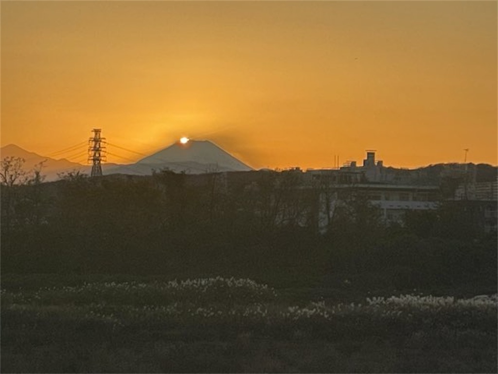 f:id:ChameleonArms221:20211114092024j:image