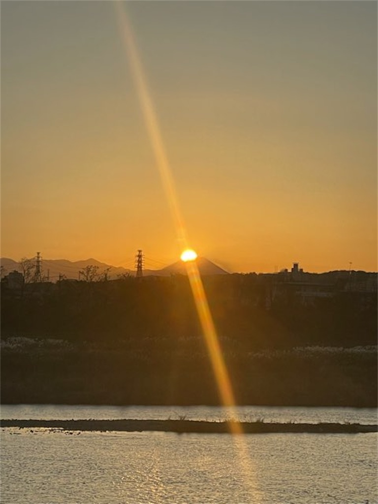 f:id:ChameleonArms221:20211114092026j:image