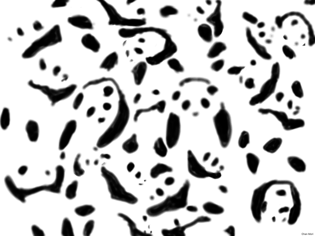 f:id:Chan_Mori:20191206021518j:plain