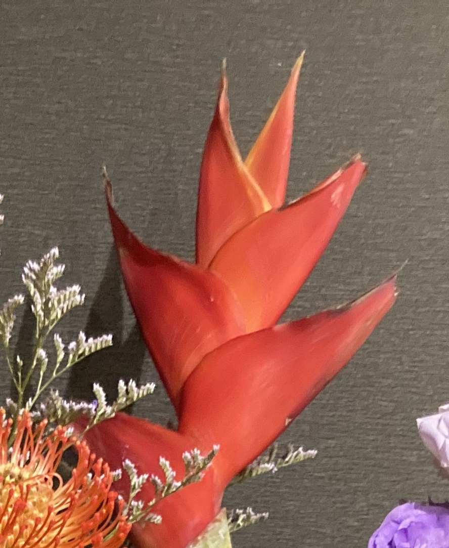 花を飾る 14 エキゾチックな花束 ようおまいりでした