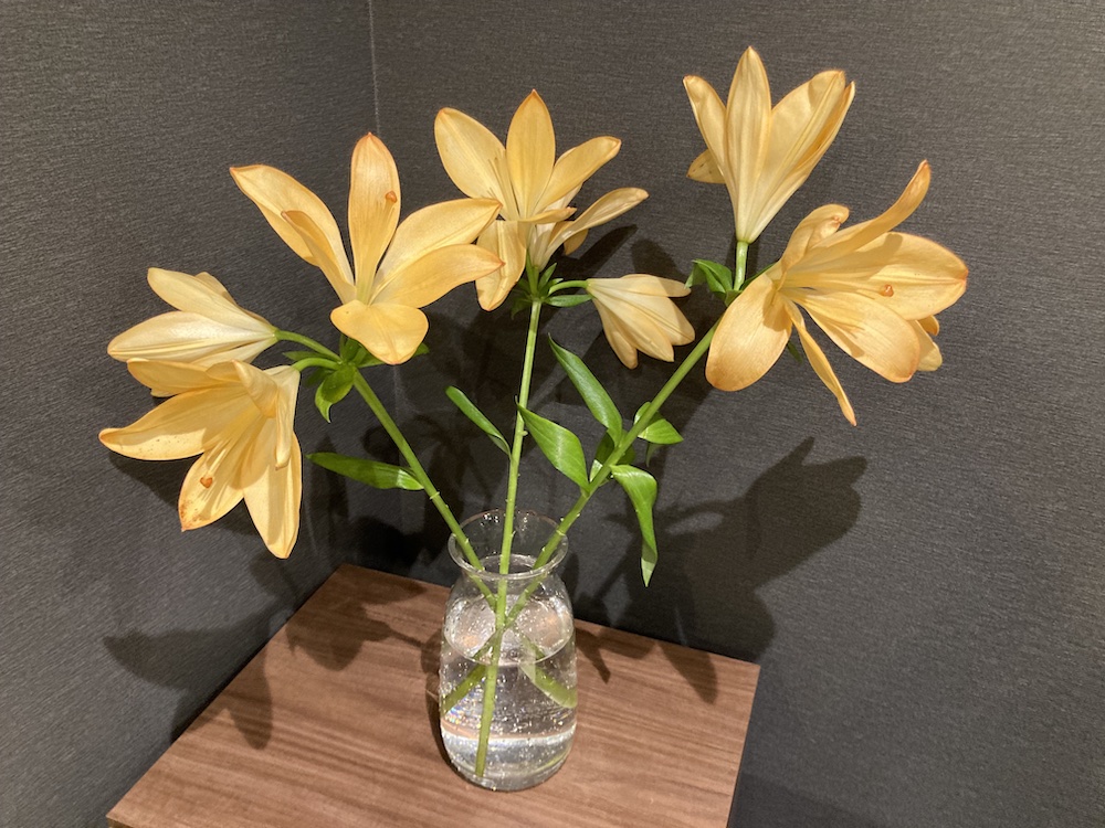 f:id:Chankana:20210817184440j:plain