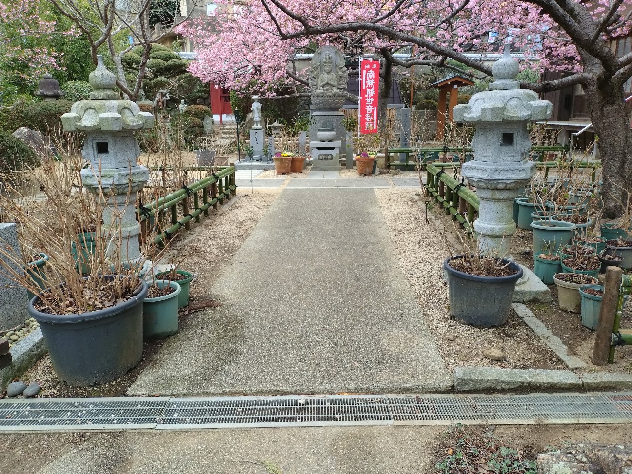 f:id:Char-no:20260225194305j:image