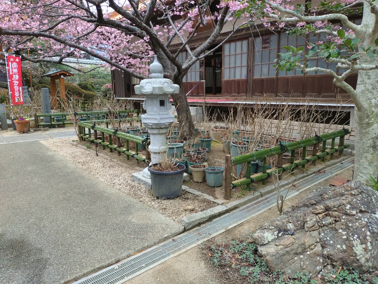 f:id:Char-no:20260225194306j:image