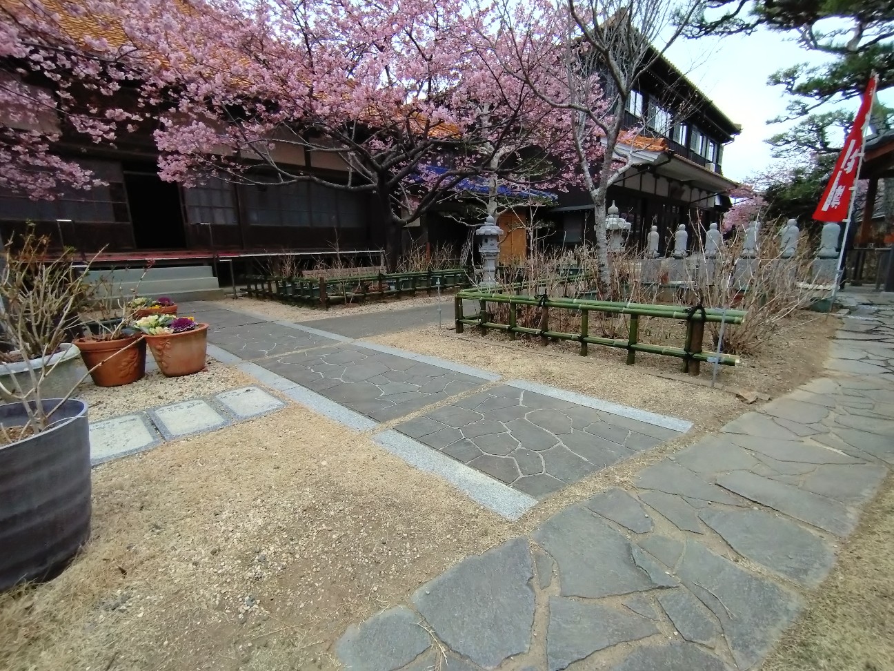 f:id:Char-no:20260225194309j:image