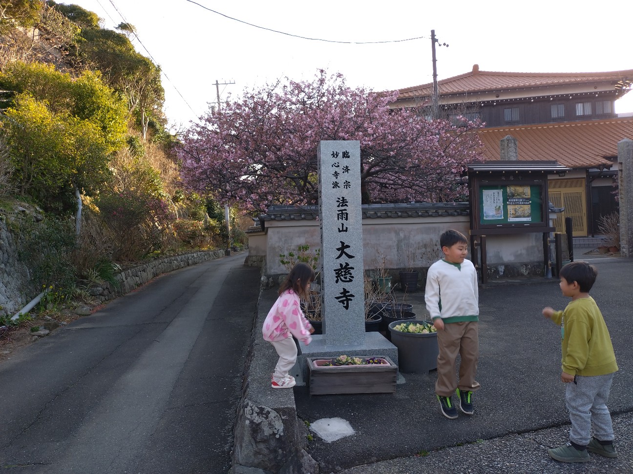 f:id:Char-no:20260225194313j:image