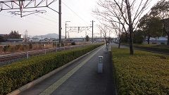 DSC04520