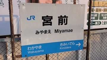 DSC04533