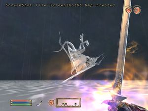 Oblivion of first 