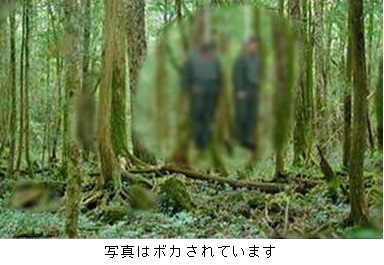 f:id:Chatter:20201117164334j:plain