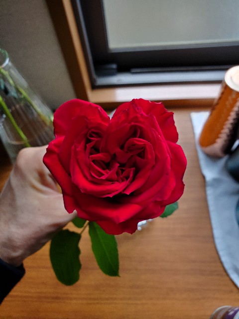 f:id:Cheftsuma:20210728210520j:image f:id:Cheftsuma:20210728210520j:image