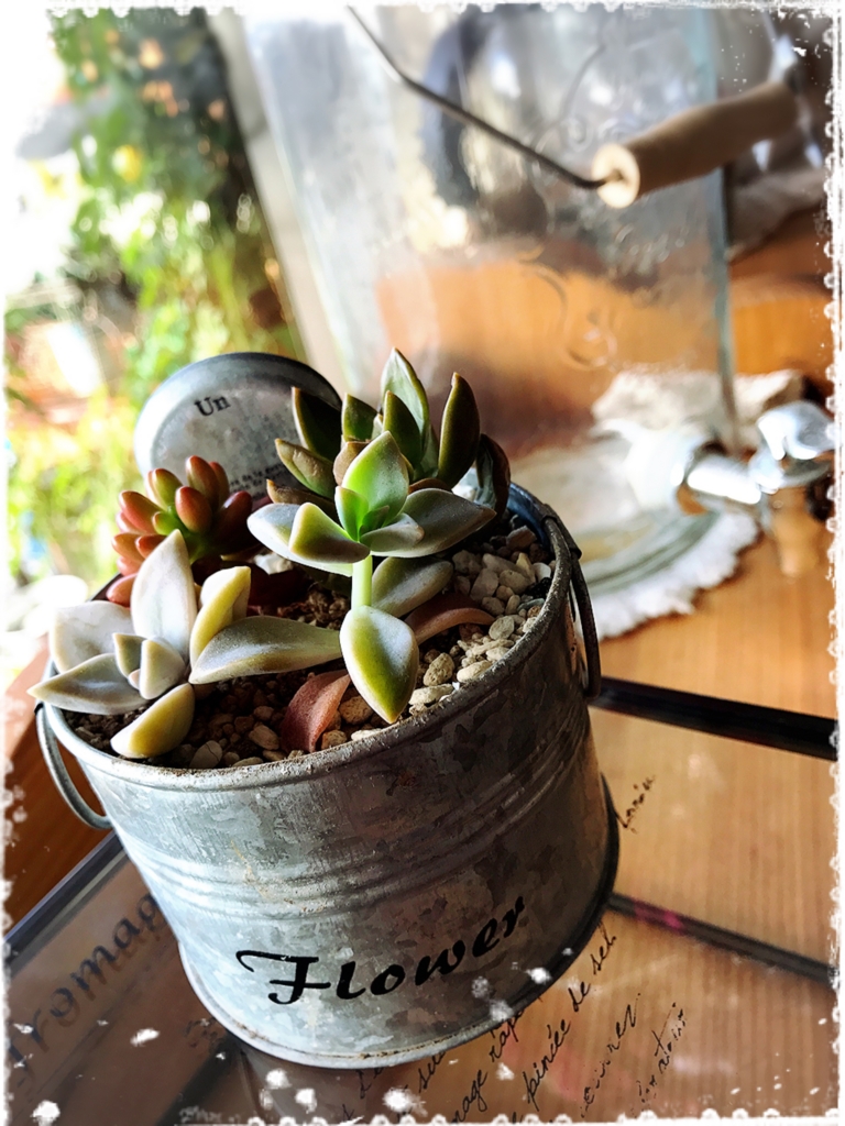 f:id:Chemin:20170117161859j:plain