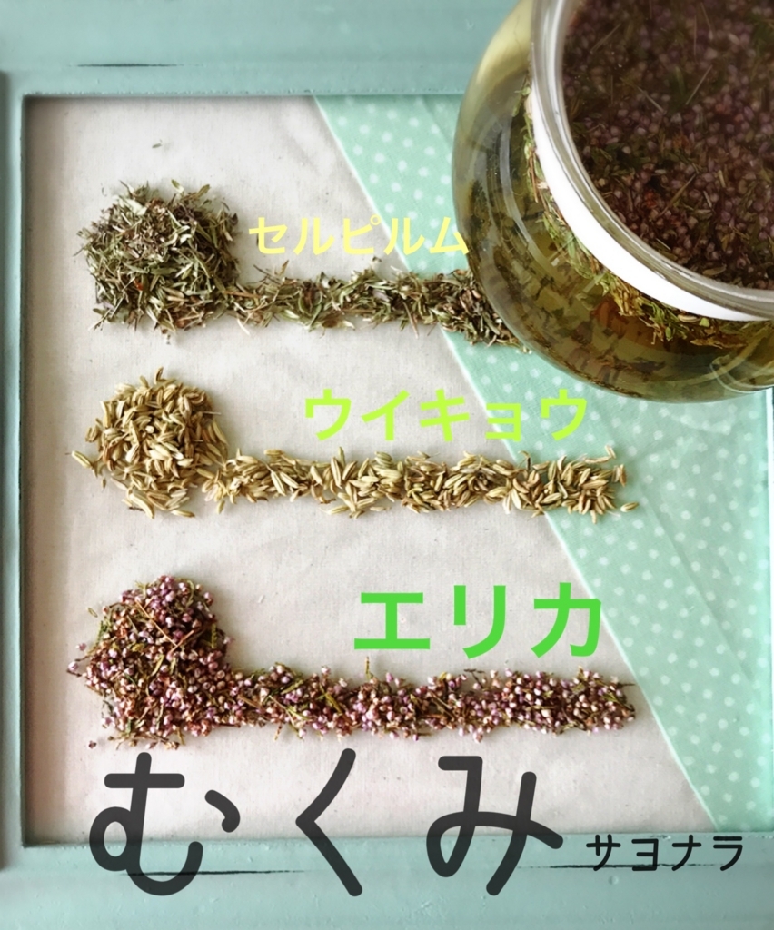 f:id:Chemin:20180523104300j:plain f:id:Chemin:20180523104300j:plain