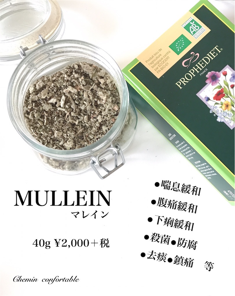 f:id:Chemin:20210211230237j:image