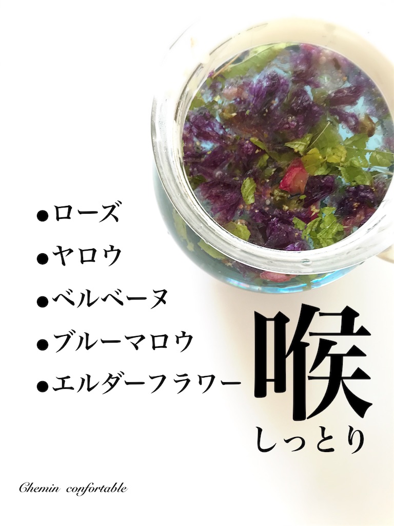 f:id:Chemin:20210211231046j:image