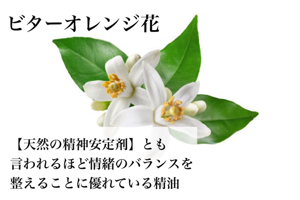 f:id:Chemin:20251123122804j:image