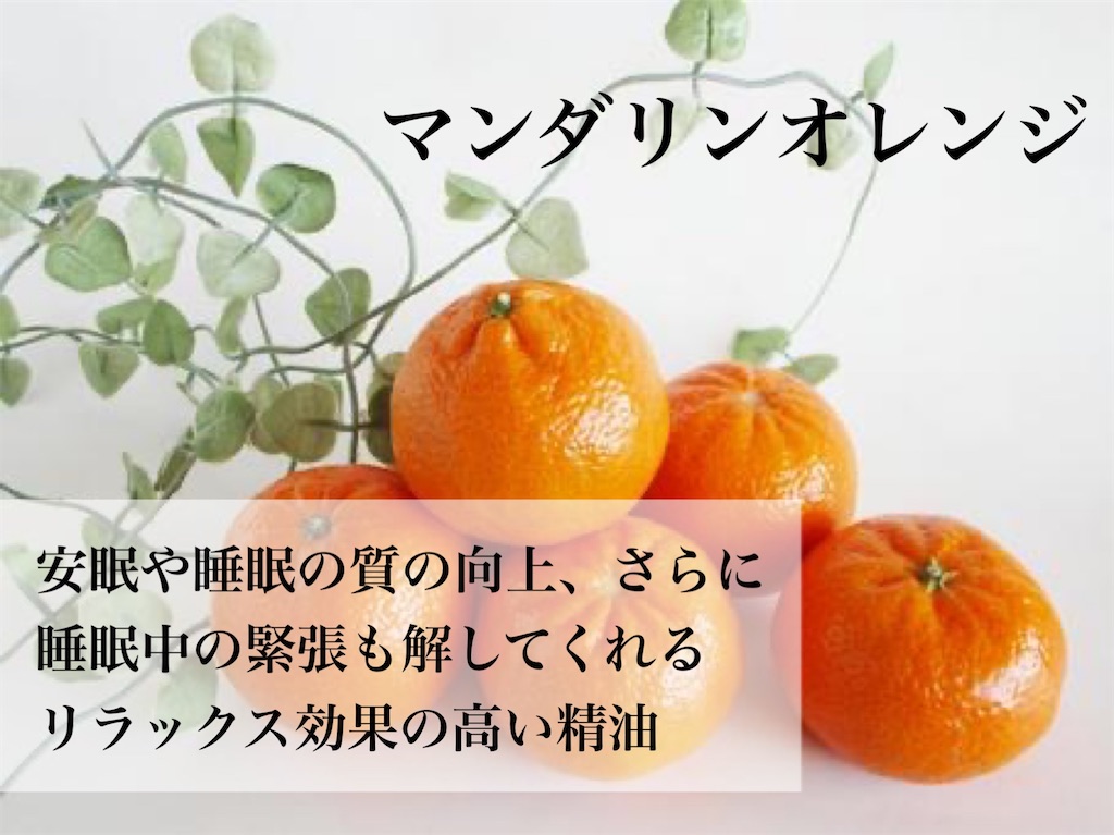 f:id:Chemin:20251123122807j:image