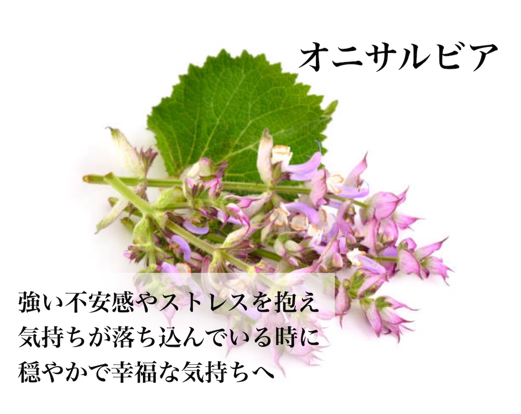 f:id:Chemin:20251123122811j:image