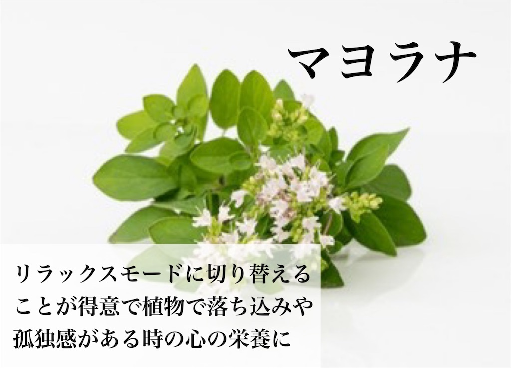 f:id:Chemin:20251123122815j:image