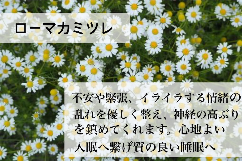 f:id:Chemin:20251123122823j:image