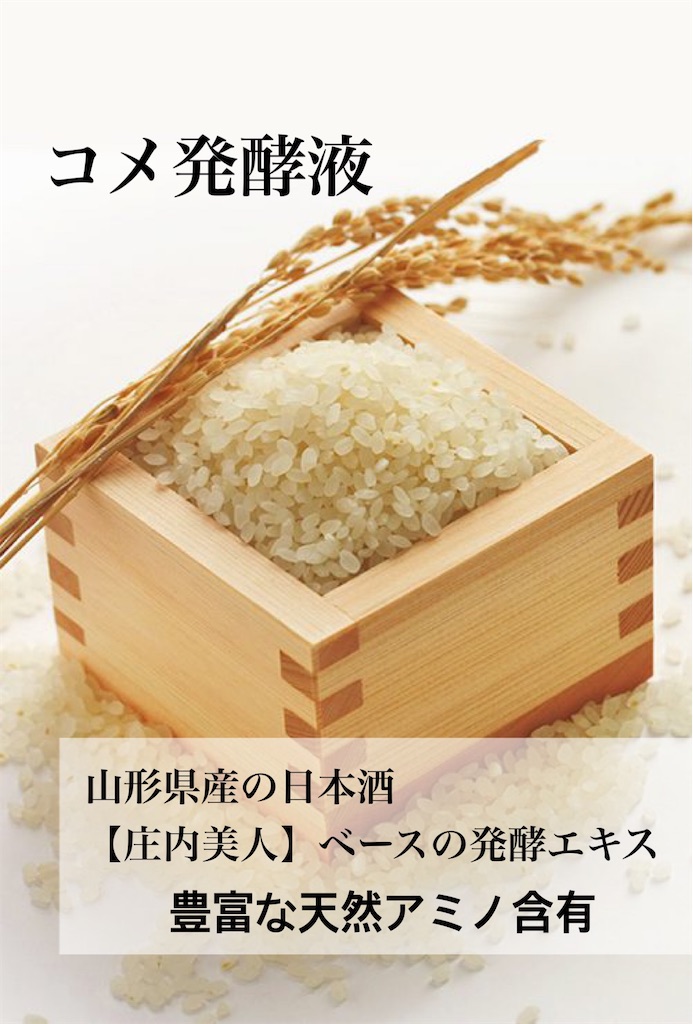 f:id:Chemin:20251123122826j:image