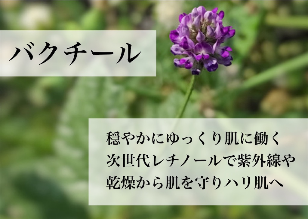f:id:Chemin:20251123122831j:image