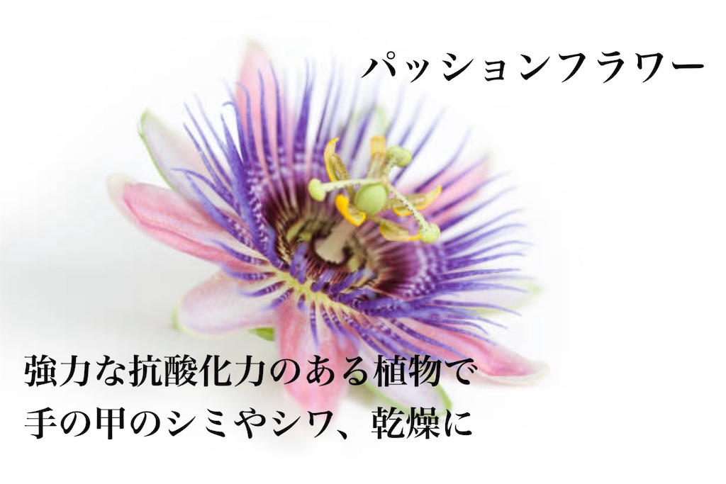f:id:Chemin:20251123122834j:image