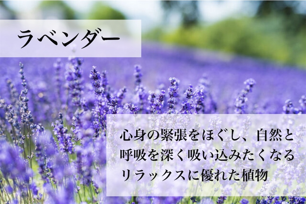 f:id:Chemin:20251123143659j:image