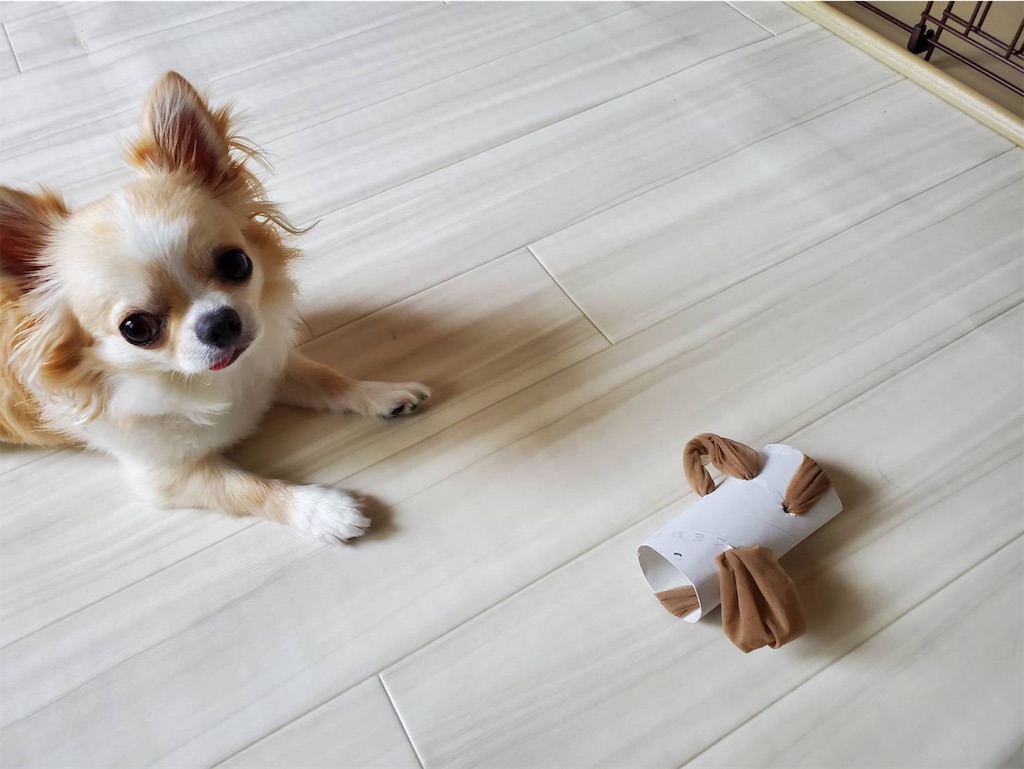 f:id:Chemin08:20210901073009j:image