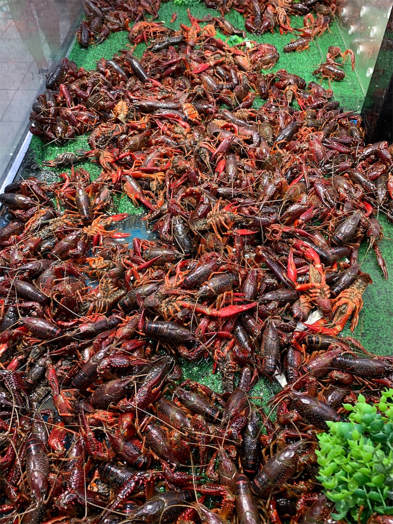 f:id:Chengdu:20190819191636j:image f:id:Chengdu:20190819191636j:image