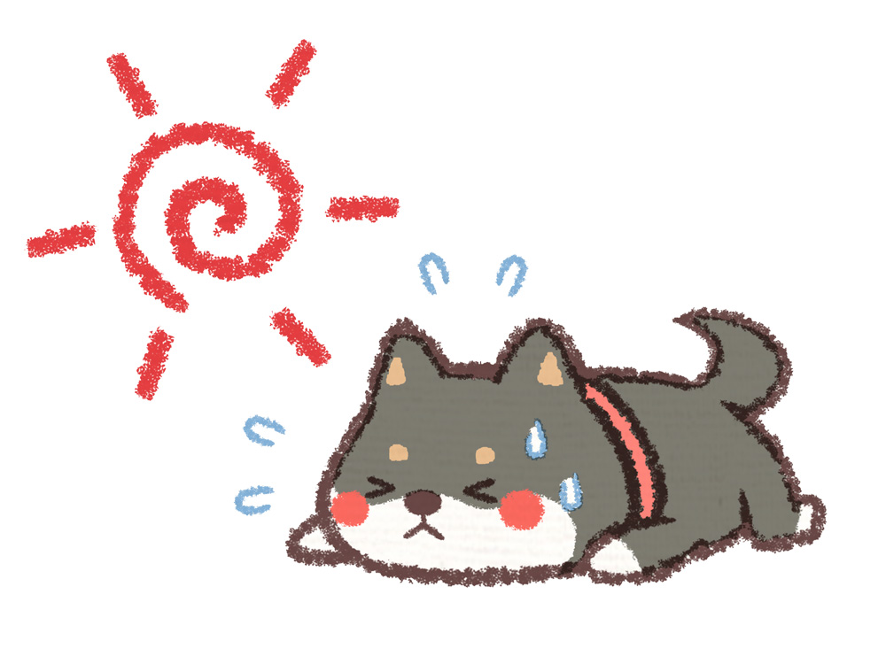 f:id:Cherrysakura:20190726184120j:plain f:id:Cherrysakura:20190726184120j:plain