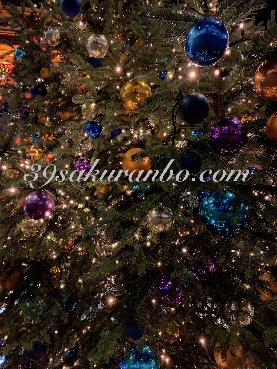 f:id:Cherrysakura:20191126204534j:plain f:id:Cherrysakura:20191126204534j:plain