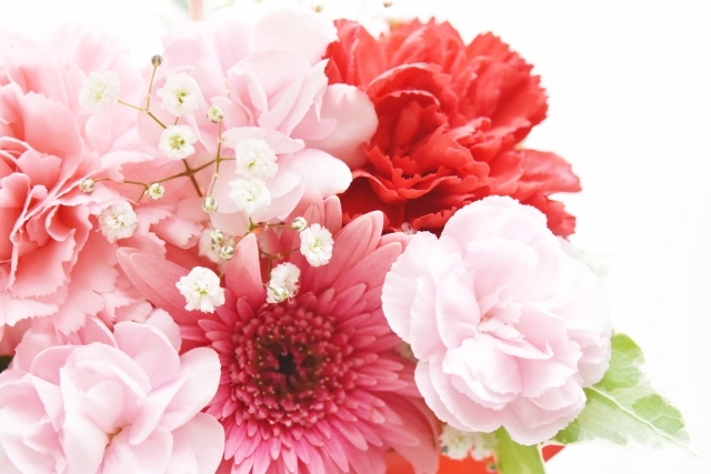 f:id:Cherrysakura:20200318235730j:plain f:id:Cherrysakura:20200318235730j:plain