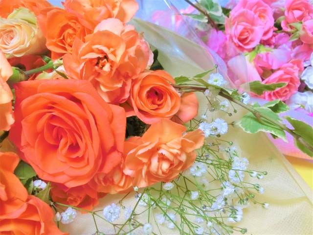 f:id:Cherrysakura:20200408055805j:plain f:id:Cherrysakura:20200408055805j:plain