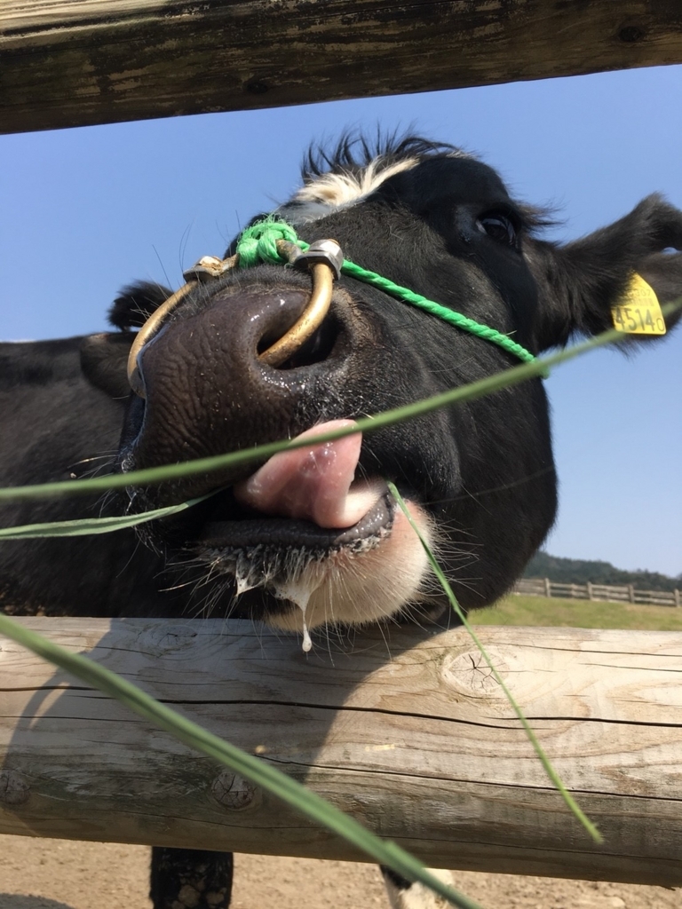 f:id:Cheval_0103:20180328230915j:plain f:id:Cheval_0103:20180328230915j:plain