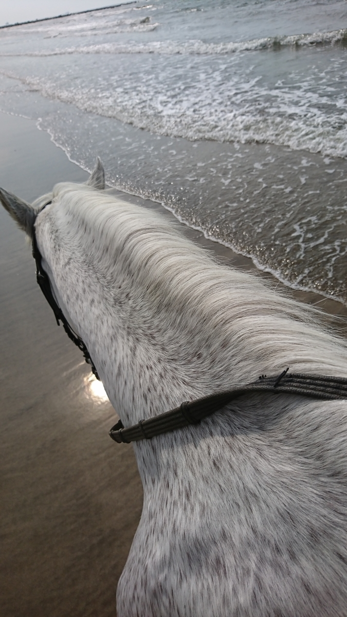f:id:Cheval_0103:20190821152804j:plain f:id:Cheval_0103:20190821152804j:plain