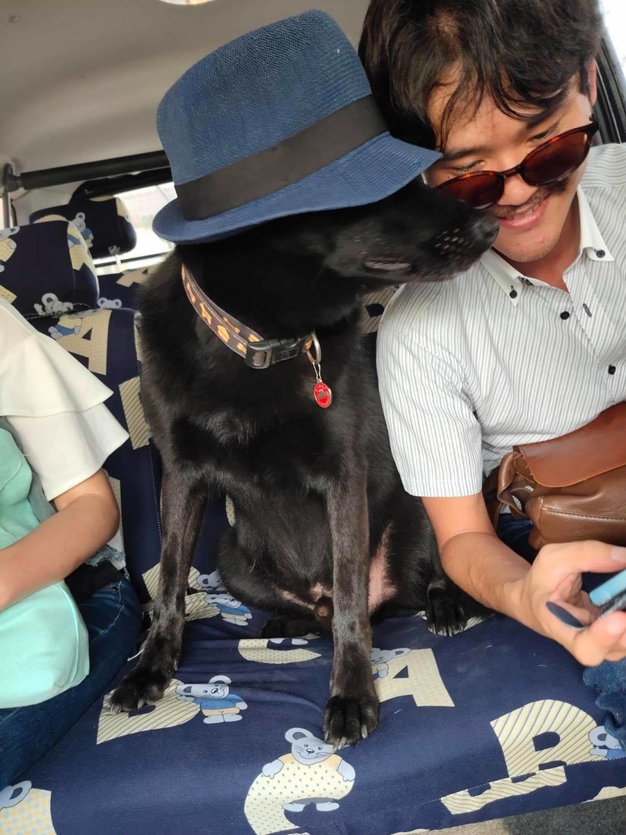 f:id:Cheval_0103:20190821153104j:plain f:id:Cheval_0103:20190821153104j:plain