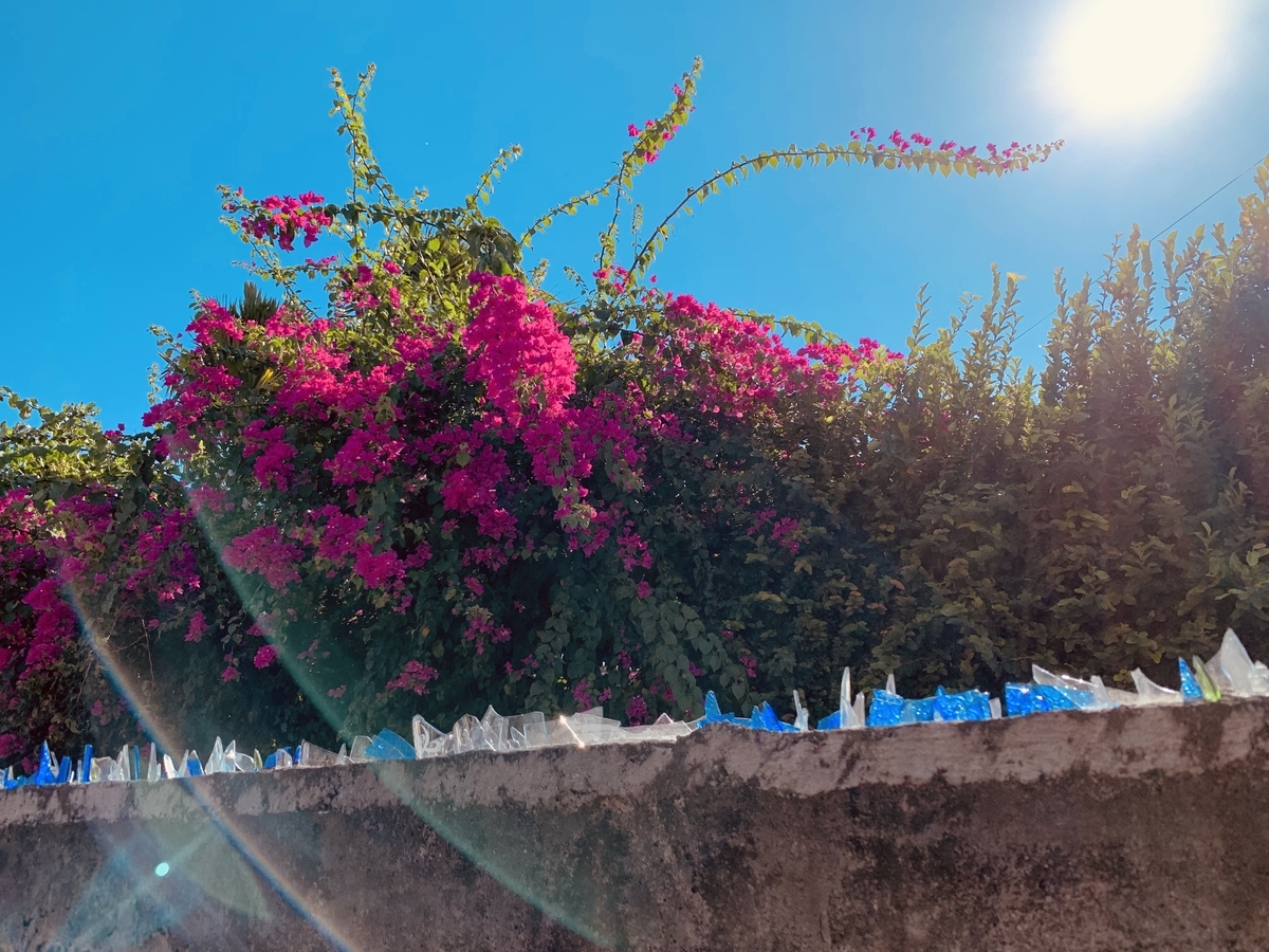 f:id:ChiakiPhoto:20191006174249j:plain