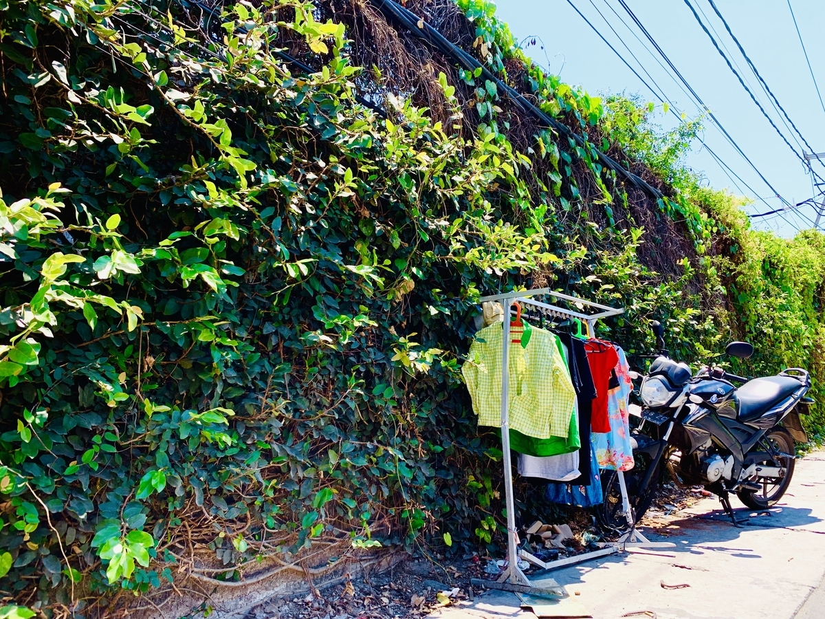 f:id:ChiakiPhoto:20191008110800j:plain