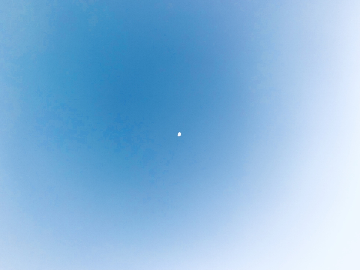 f:id:ChiakiPhoto:20191008110814j:plain