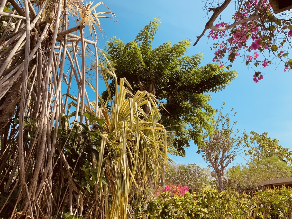 f:id:ChiakiPhoto:20191008110822j:plain