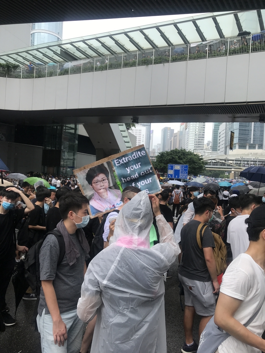 f:id:Chibitake:20190624231547j:plain