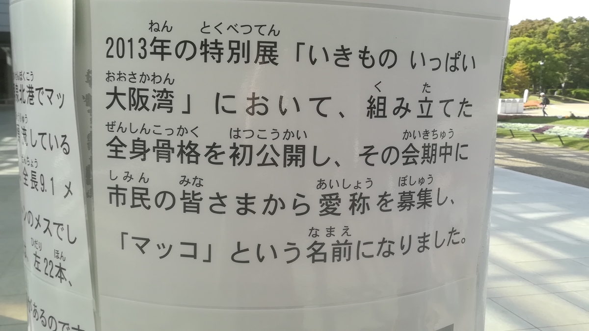f:id:Chicky8705:20200205031158j:plain