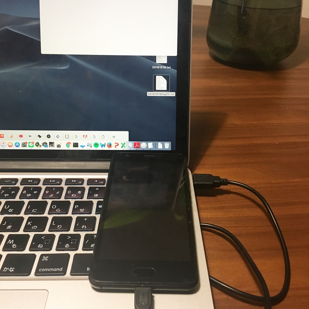 f:id:ChieMAMA:20181019000848j:plain f:id:ChieMAMA:20181019000848j:plain