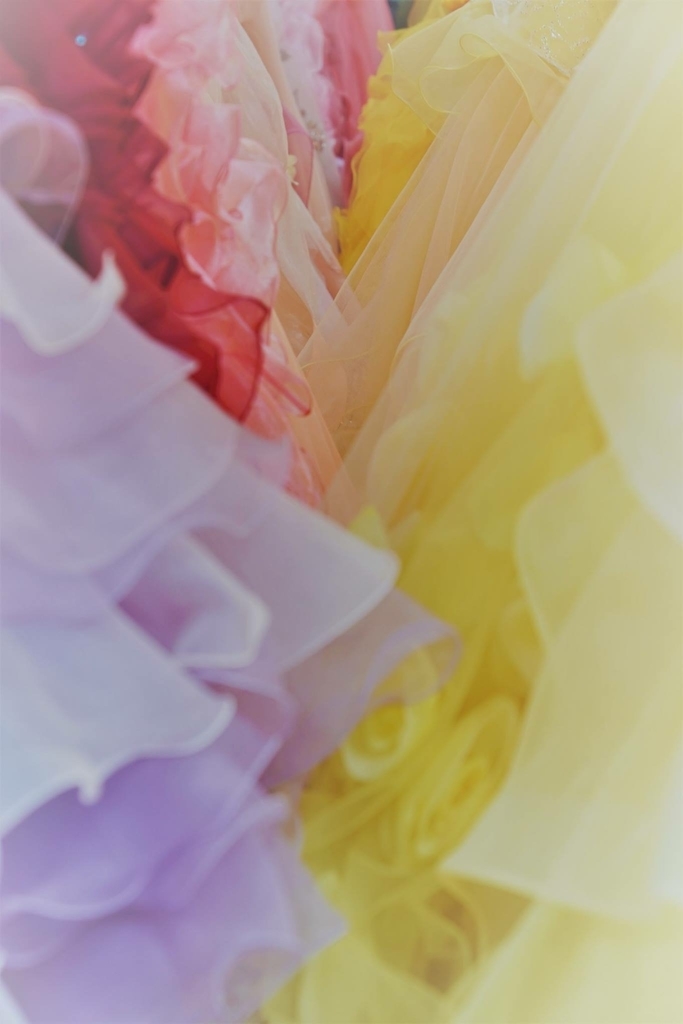 f:id:ChieMAMA:20190110193931j:plain
