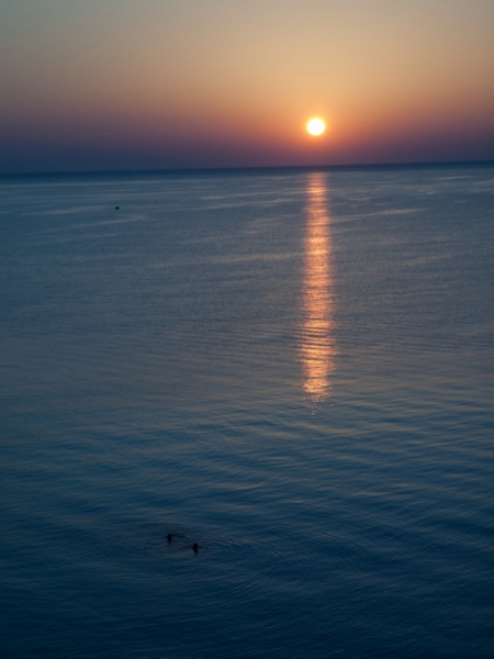f:id:Chiezaru:20100909045557j:image