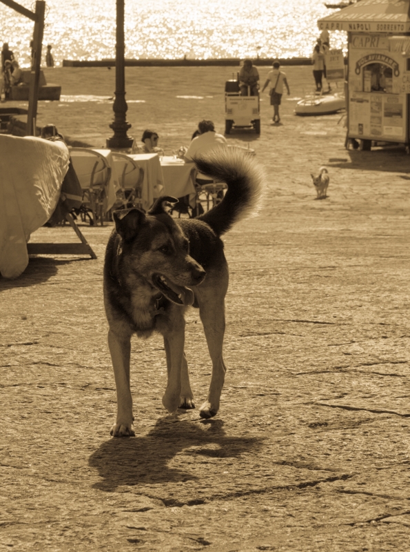 f:id:Chiezaru:20121024153733j:image