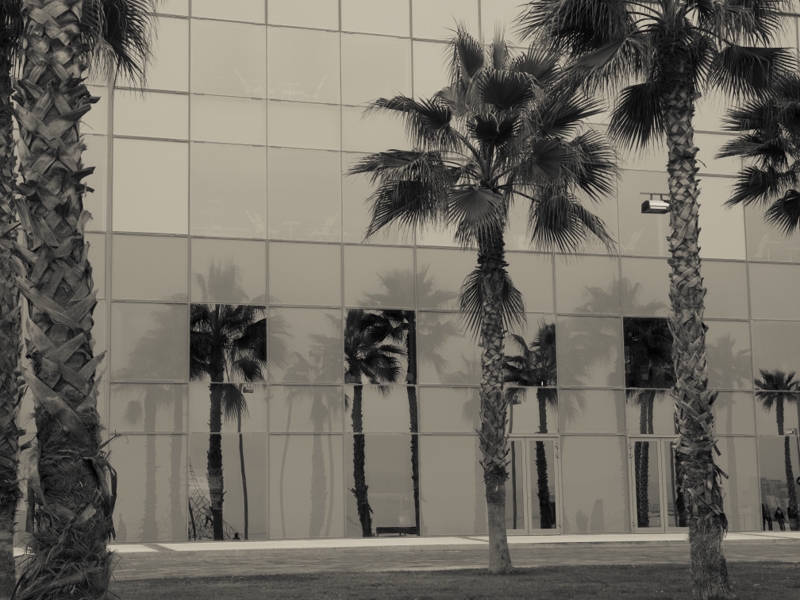 f:id:Chiezaru:20130122164723j:image