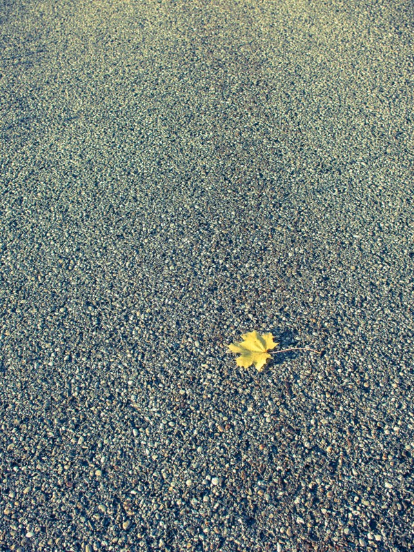 f:id:Chiezaru:20131111164622j:image f:id:Chiezaru:20131111164622j:image